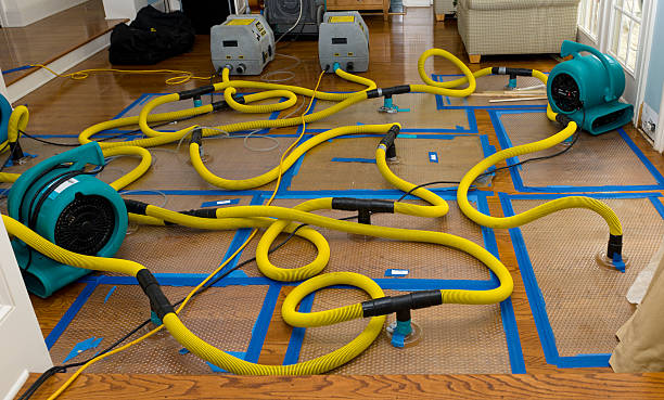 Professional Crawl Space Water Removal technician working in Flora, IL